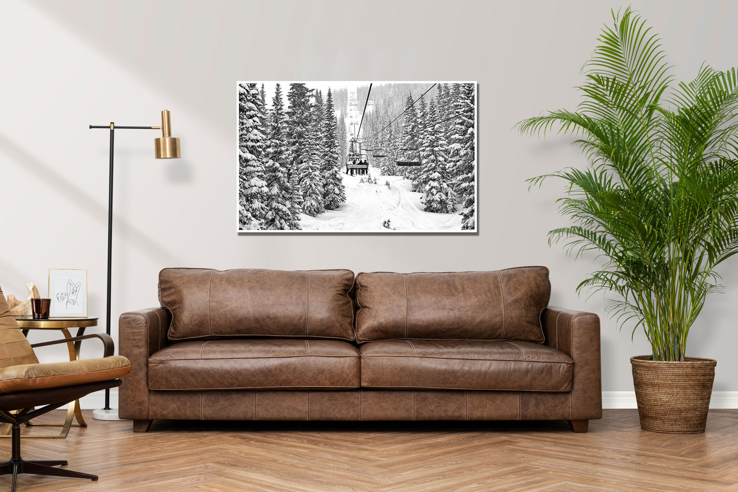 Up and Down - Vail Chairlift Skiing Photos