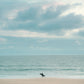 Photo of a single surfer walking along the shoreline in Manhattan Beach, CA.