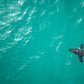 Passing Through - Manhattan Beach Sharks Aerial Photos