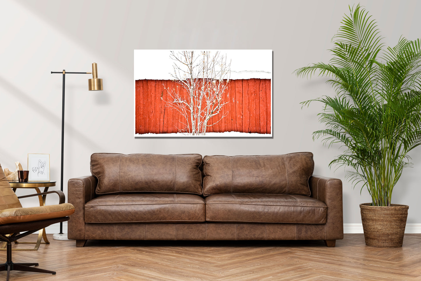 Winter Red - Colorado Red Fence White Trees Photos