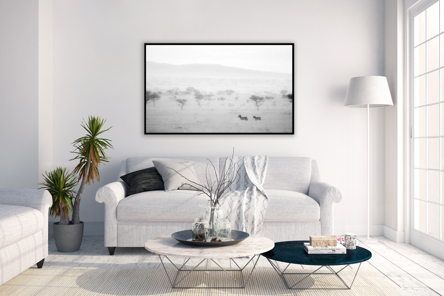Z is for Zebra - Fine Art Nature Photography
