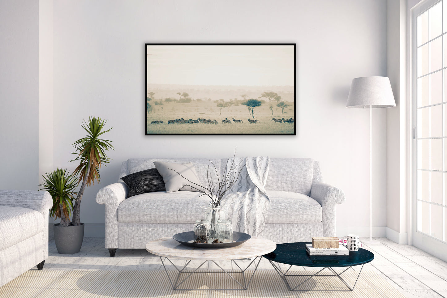 Z is for Zebra - Fine Art Nature Photography
