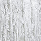 Aspen Snowmass Trees in SNow Photos