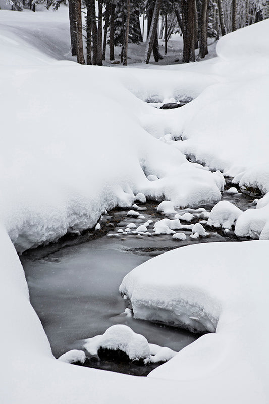 Aspen Snowy Stream Photos