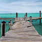 Bahamas Broken Pier Photos
