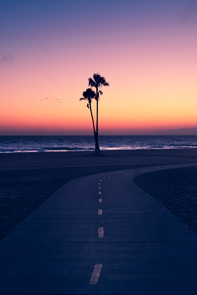 Beach Palm Trees Sunset Photos
