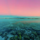 Beautiful Tahiti Seascape Photos