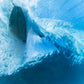 Blue Tahiti Surfer  Photos