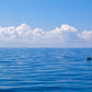 Bahamas Sea Photo
