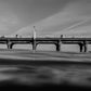 California Pier Photos