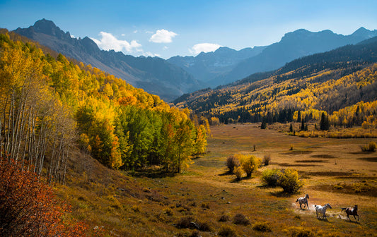 Colorado Mountain Valley Photos