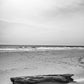 Driftwood Photos