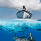 Exuma Bahamas Underwater Shark Photos