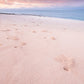 Fiji Beach Photos
