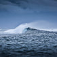 Fiji Sea Photos