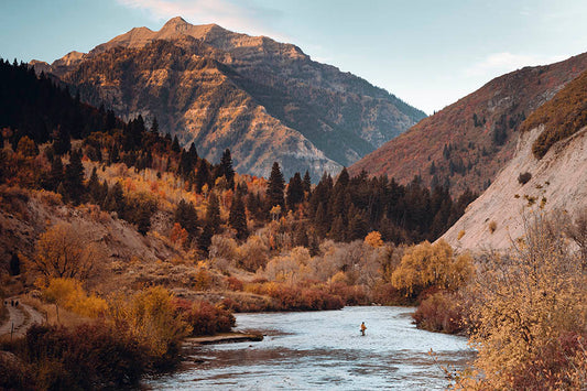 Utah Fly Fishing in Fall Colors