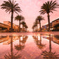 Hermosa Beach Palm Puddle Reflection  Photos