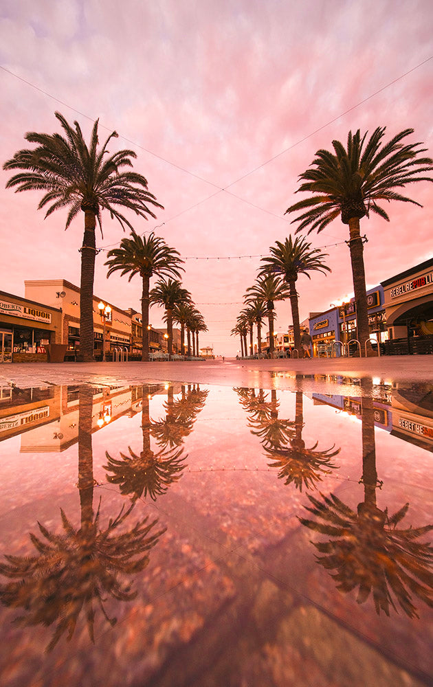 Hermosa Beach Palm Puddle Reflection  Photos