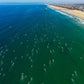Hermosa Beach Swim Photos