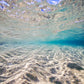 Indonesia Underwater Photos