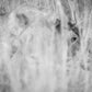 Ghost - Africa Nature Photography