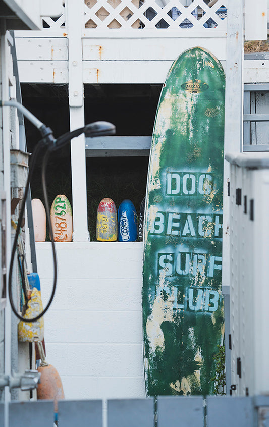 Malibu Dog Beach Surf Club Photos