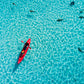 Moorea Tahiti Aerial Kayaker Photos
