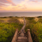Nantucket Beach Path Photos