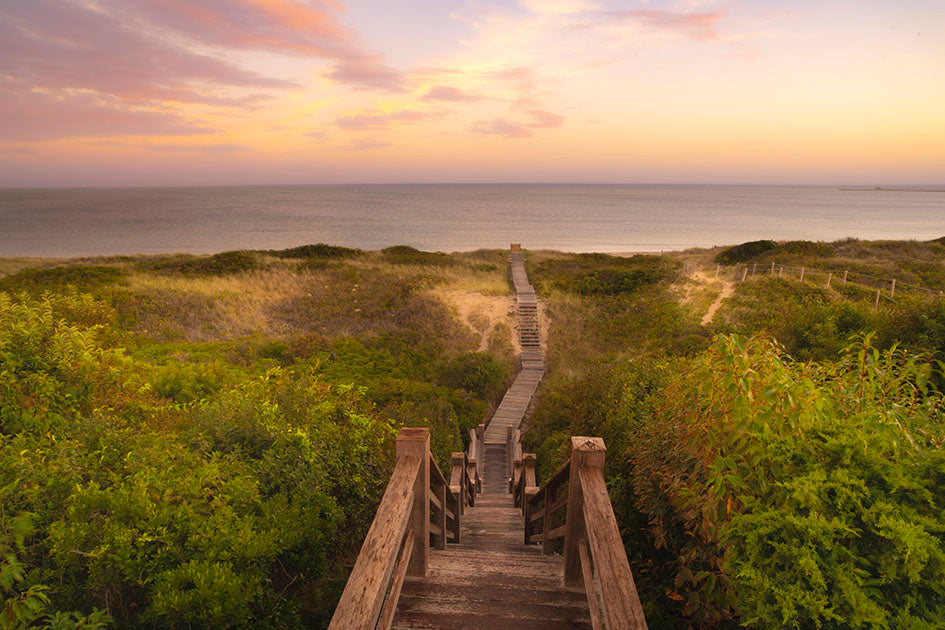 Nantucket Beach Path Photos