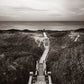 Nantucket Stairs to Shore Photos
