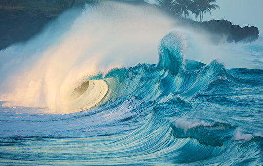 North Shore Oahu Big Wave Surfing Photos