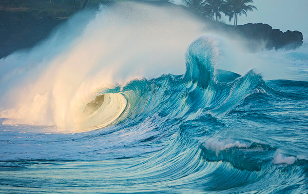 NORTH SHORE - OAHU 絵画 north-shore-oahu-big-wave-