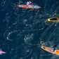Ocean Kayakers Aerial Photos