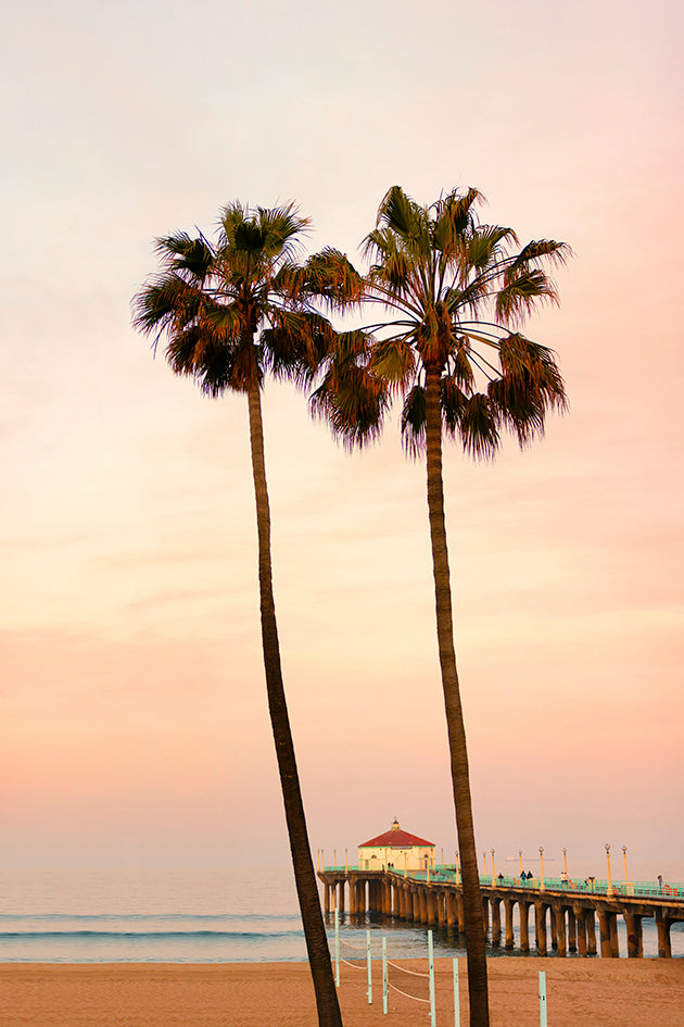 Ocean Palm Trees Photos