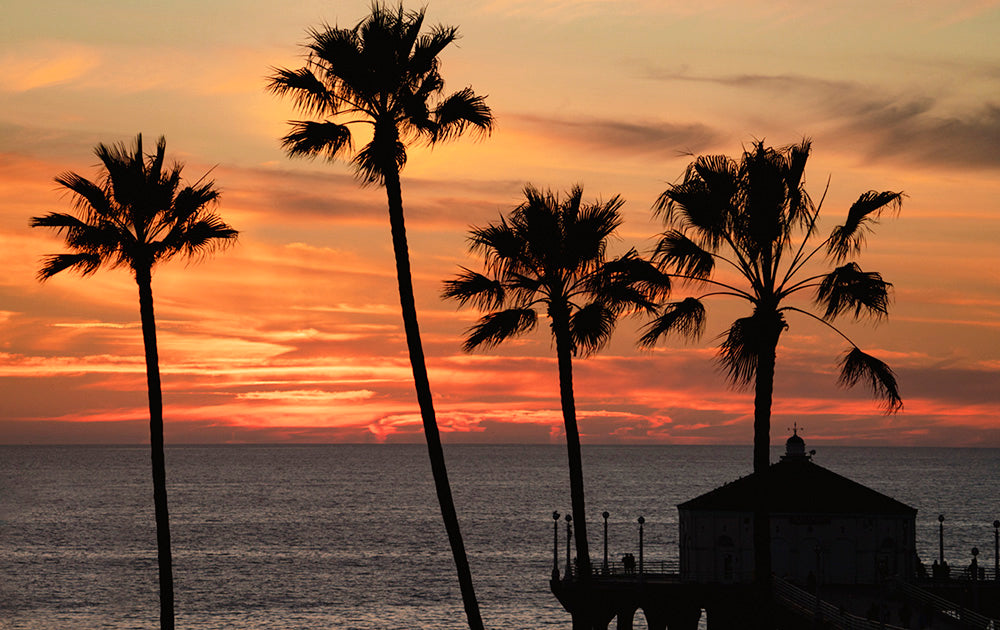 Ocean Palm Trees Sunset Photos