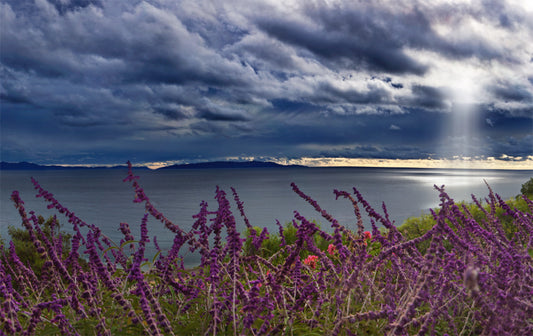 Palos Verdes Shore Seascape Photos