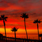 Red Manhattan Beach Sunset Photos