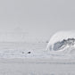 Silver Ocean Wave  Photos
