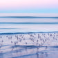 South Bay California Wave Photos
