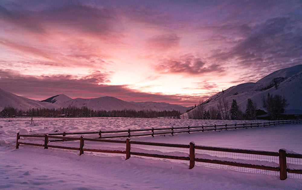 Sun Valley Idaho Landscape Snow Fence Photos