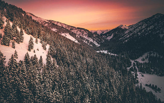 Sun Valley Mountain Tree Line Photos