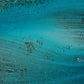 Tahiti Canoe Outrigger  Photos