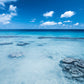 Tahiti Ocean Reef Photos