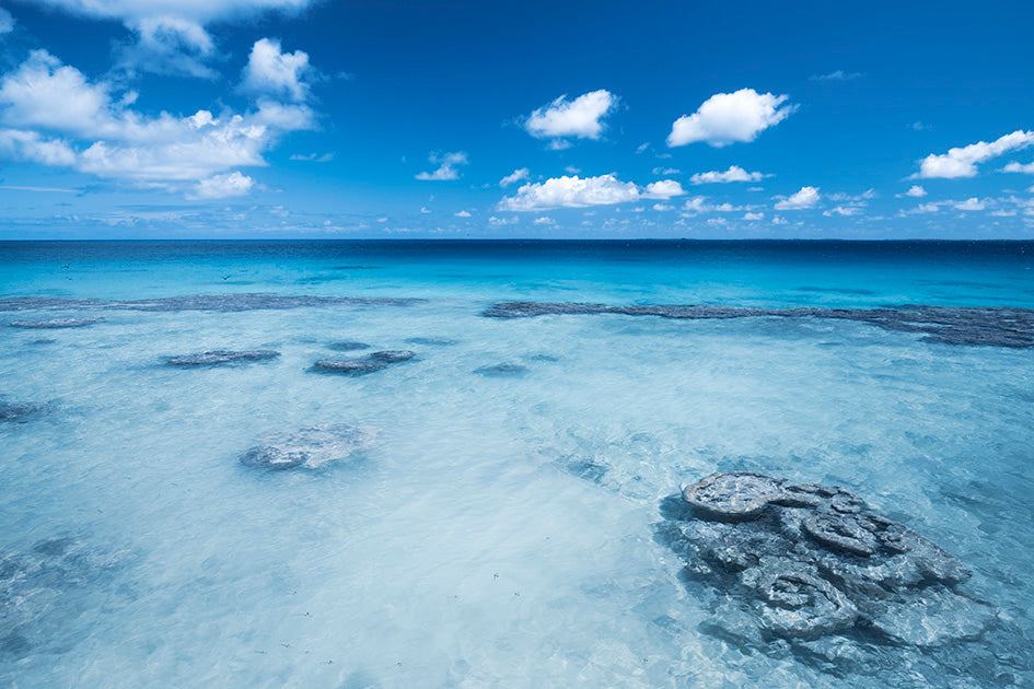 Tahiti Ocean Reef Photos