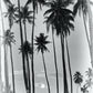 Tahiti Palm Trees Photos