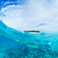 Tavarua Fiji Ocean Wave Sea Photos
