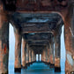 Under the Pier California Photos