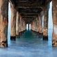 Under The Pier Photos