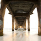 Under the Pier Photos