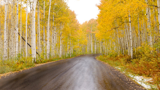 The Painter - Park City Utah Mountain Photos